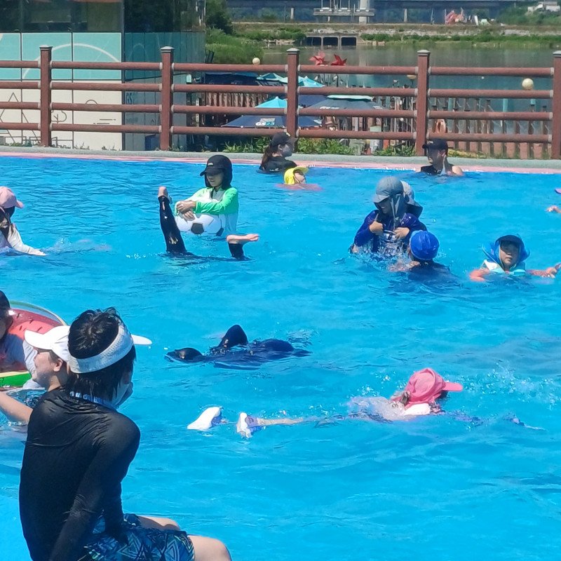 d5307069e75b88750551dc88ffa85aba.jpg